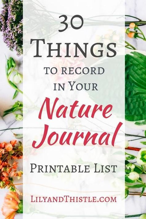 Journal Prompts For Kids, Homeschool Nature Study, Field Journal, Nature Journaling, Art And Craft Ideas, Nature School, Nature Sketch, Study Journal, Illustration Botanique