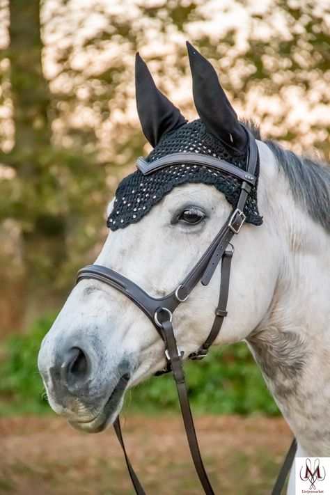 New Runa bridle. With this bridle you can combine bit and bitless riding. You recieve 2 sets of headpieces and browbands.  This bridle can be used for bit and bitless riding. Many people use 2 bridles to ride with bit or bitless and with this bridle that is no longer necessary. The bit clips make it easy to use the bit and convert the noseband into a normal noseband. The bridle comes standard with a sidepull noseband and can be turned in to riding with a bit. If you find it exciting to ride completely bitless, you can even use both systems while riding your horse. The bridle is also widely adjustable on the nose, throat and headpiece so that you can create a perfect fit for your horse. The headpieceis anatomical and has a nice wide band and will be deliverd with a extra headpiece that give 2 Brides, English Tack, Bitless Bridle, Horse Boarding, Horse Bridle, English Riding, Tack Room, Bridles, Funny Horse