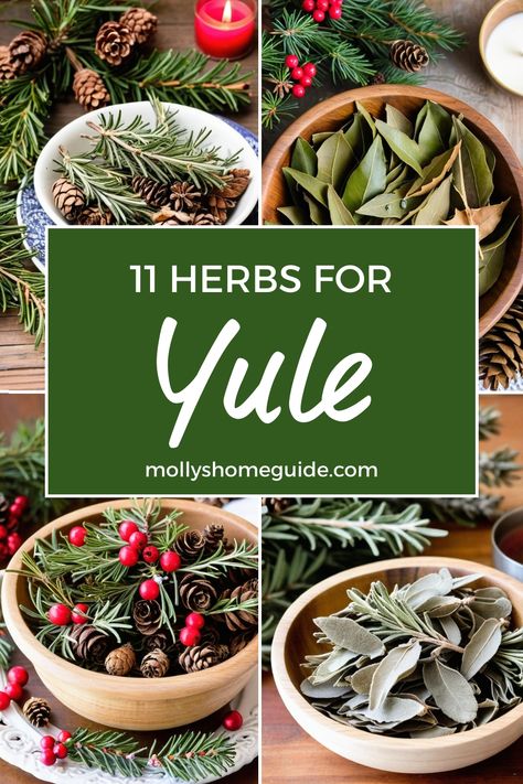 Discover the magic of Yule winter traditions with a selection of best herbs for protection. Dive into the enchanting world of Christmas and winter holiday herbs, explore the mystical properties of Pine and Rosemary. Create your own herbal tea blend or dream tea recipe using these powerful healing herbs. Embrace ancient Winter solstice rituals and tap into the wisdom of plant medicine with our guide to Herbs for Yule. Yule Herbs And Spices, Winter Solstice Spell Jar, Winter Solstice Herbs, Traditional Yule Food, Yule Pinecone Wish, Yule Side Dishes, Yule Meals Winter Solstice, Traditional Yule Recipes, Yule Party Ideas