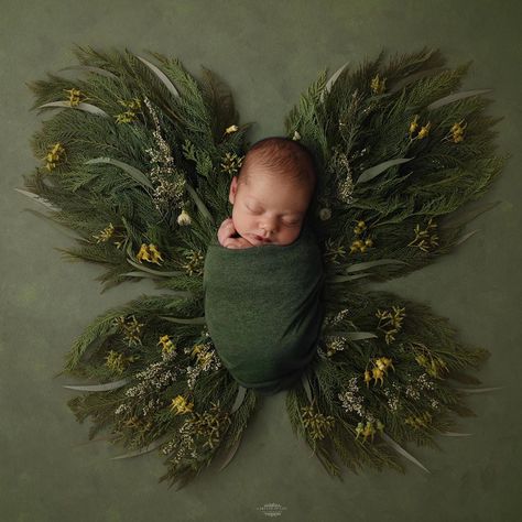 Butterfly Newborn Pictures, Green Newborn Photography, Infant Photoshoot Ideas, Diy Newborn Photography, Baby Boy Newborn Photography, Foto Newborn, Newborn Family Photography, Newborn Photography Poses, Newborn Baby Photoshoot