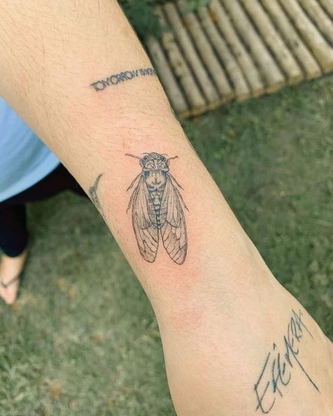 Rate This Tattoo ideas From ⭐1~10. SAVE & FOLLOW i will update everyweek. Cicadas Tattoo, Small Cicada Tattoo, Simple Cicada Tattoo, Fine Line Bug Tattoo, Cicada Tattoo Design, Cicada Aesthetic, Small Bug Tattoo, Bug Tattoos For Women, Bug Tattoo Design