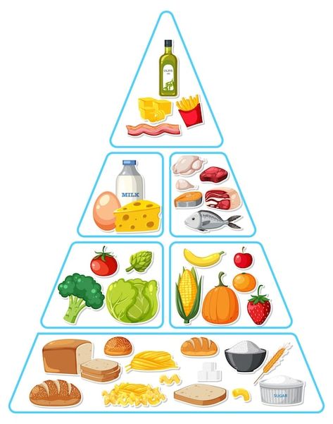 Food Pyramid Drawing, Food Pyramid Project, Food Group Pyramid, Pyramid Illustration, Pyramid Food, Food Pyramid Kids, Healthy Eating Pyramid, Healthy And Unhealthy Food, Food Pyramid