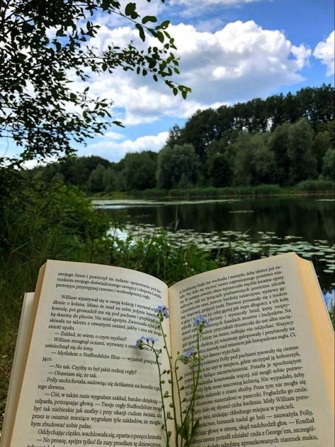 Spring Study Aesthetic, Reading In Nature, Books Nature, Bookish Aesthetic, Summer Vision, Study Inspo, Study Aesthetic, Book Aesthetics, Studying Inspo