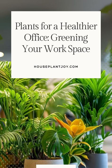 Bring Nature to Your Workplace 🌱🌿 Studies show that plants can boost productivity, reduce stress, and improve overall well-being. Create a greener office space today! #OfficePlants #WorkplaceWellness #ProductivityTips Office Plants Ideas Interior Design, Office Decor Workplace, Healthy Office, Plant Inspiration, Boho Office, Workplace Wellness, Green Office, Best Plants, Office Plants