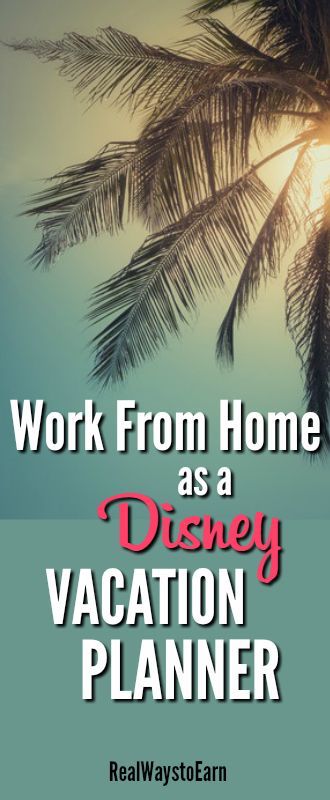 Disney Travel Agent, Become A Travel Agent, Disney Travel Agents, Disney Vacation Planner, Stay At Home Jobs, Jobs From Home, Love Disney, Working At Home, Get A Job