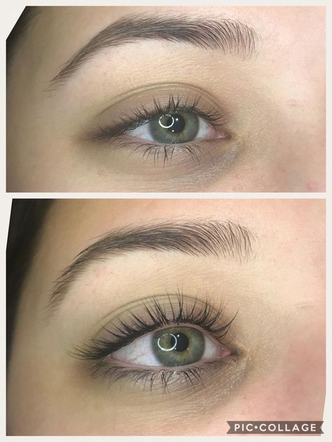 Lash lift and tint Lash Lift Styles, Natural Lash Lift And Tint, Lash Lift Natural, Eye Lash Tint, Last Lift And Tint, Eyelash Tint And Lift, Lash Lift And Tint Before And After, Lashes 1:1, Tinted Eyelashes