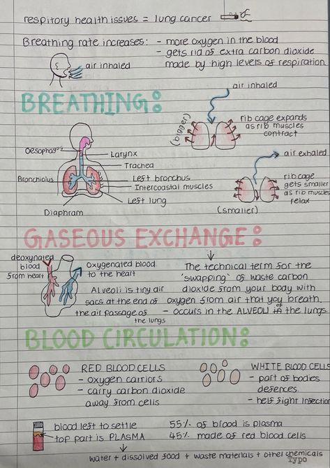 Explanation of breathing, gaseous exchange, blood circulation, blood cells, etc Respiration And Circulation Notes, Gcse Pe Notes, Blood Notes Anatomy, Gaseous Exchange Notes, Cpr Notes, Bio Notes, Studera Motivation, Nursing School Motivation, School Study Ideas