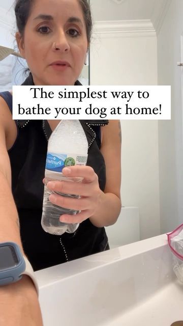 Dog Bath At Home, Dog Bath Supplies, Dog Shedding Hacks, Dog Bathing Tips At Home, Dog Bath Essentials, Washing Dogs Tips Bath, How To Give A Dog A Bath At Home, Bathing Dog At Home, Dog Pampering Ideas