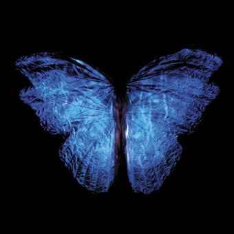 Cybercore Aesthetic, Blue Aesthetic Dark, Ethereal Art, Butterfly Wallpaper, Blue Butterfly, Blue Wallpapers, Blue Aesthetic, Wall Collage, Dark Aesthetic