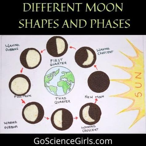 Different Moon Shapes And Phases Faces Of Moon, Phases Of Moon Activity, Faces Of The Moon, Teaching Moon Phases, Moon Phases Activity, Moon Worksheet, Moon Phase Activity, Moon Phases 2nd Grade, Moon Faces