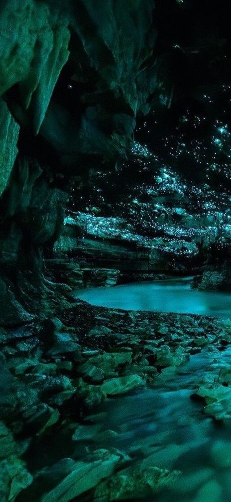 Waitomo Glowworm Caves, Nova Zelândia Caves With Water, Underground Cave Aesthetic, Crystal Cave Aesthetic, Bioluminescent Cave, Cave Climbing, Cave Village, Gem Cave, Mossy Cave, Cave Aesthetic