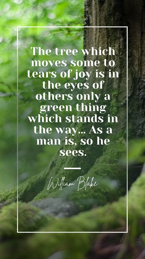 Trees Quotes Inspirational, Trees Quotes Nature, Quotes About Trees, Tree Wisdom Quotes, Tree Therapy, Forest Therapy Quotes, Nature Is Healing, Trees Quotes Nature Thoughts, Nature Quotes Beautiful