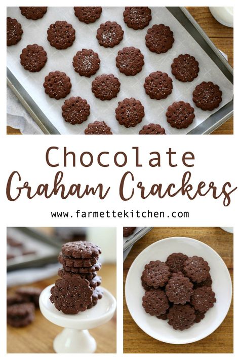 Make your own Homemade Chocolate Graham Crackers with only a few simple ingredients.  Perfect in the lunchbox or as an after-school treat! via @farmettekitchen Homestead Kids Snacks, Homemade Chocolate Animal Crackers, Homemade Chocolate Graham Crackers, Chocolate Crackers Recipe, Easy Graham Cracker Recipes, Sourdough Chocolate Graham Crackers, Chocolate Sourdough Crackers, Teddy Grahams Recipe, Homemade Gramcracker