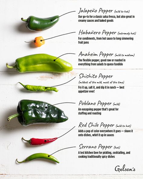 Home Cook's Guide to Peppers Pepper Scale, Easy Crockpot Chili, Crockpot Chili Recipe, Pepper Garden, Cooking Peppers, Best Recipes Ever, Recipe With Ground Beef, Jeopardy Template, Types Of Peppers