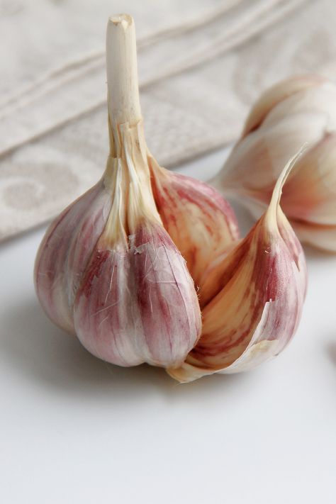 When you plant one garlic clove, it multiplies 7-20 times or more to create a bulb! That’s a great return, so you can plant more and fall in clove with it over and over again! Hardneck Garlic, Garlic Bulbs, Garlic Seeds, Kitchen Painting, Painting References, Garlic Bulb, Garlic Clove, Fruit And Veg, Edible Flowers