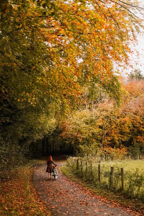 An Autumn Bike Ride - A Clothes Horse Fall Rustic Decor, Magical Autumn, Autumn Scenes, Autumn Scenery, Dirt Road, Fall Feels, Autumn Beauty, Cozy Autumn, Farmhouse Fall