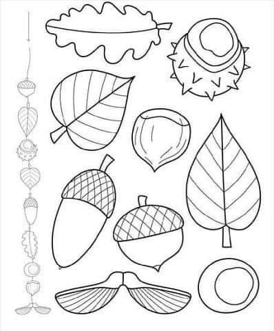 Fall Coloring Pages For Kids, Fall Coloring, Adults Coloring, Autumn Activities For Kids, Leaf Template, Fall Coloring Pages, Leaf Crafts, Autumn Crafts, Fall Crafts For Kids