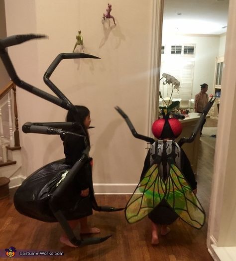 The Spider And The Fly, Spider And The Fly, Fly Costume, Homemade Costumes For Kids, 2017 Halloween Costumes, Bug Costume, Spider Costume, Diy Kostüm, Halloween Costume Contest