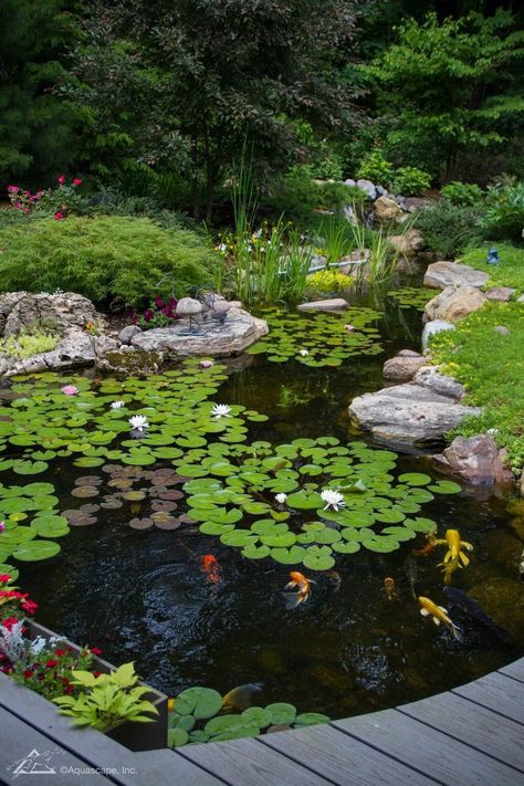 Natural Pond Landscaping, Pond Top View, House With Pond, Large Koi Pond, Man Made Pond, Ecosystem Pond, Koi Pond Ideas, Pond Deck, Home Pond