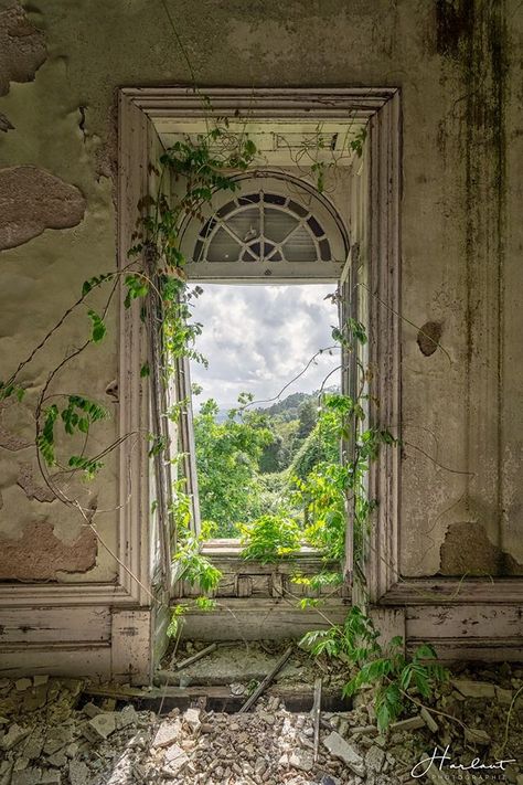 Abandoned Mansions Interior, Nature Reclaiming Abandoned Places, Exploring Abandoned Places, Haunted House Pictures, Decay Art, Victorian Greenhouses, Old Abandoned Buildings, Apocalypse Aesthetic, Abandoned Homes