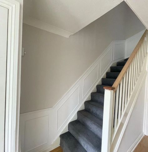 dulux nutmeg white hallway and stairs Stairs And Hallway Ideas, House Hallway, تحت الدرج, Stair Paneling, Entrance Hall Decor, Garden Trading, House Staircase, Hallway Inspiration, Narrow Hallway Decorating