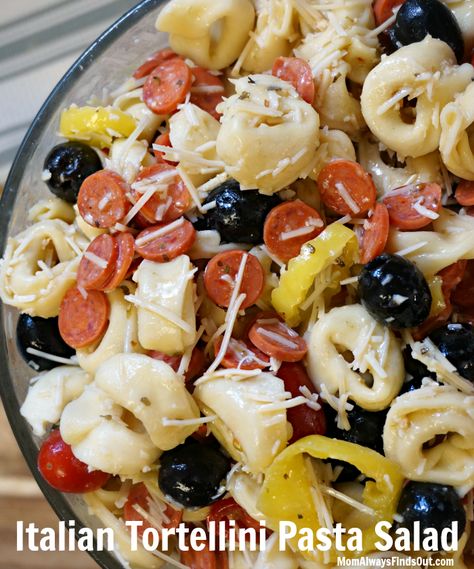 Grinder Salad Tortellini Pasta Salad, Tortillini Salad, Three Cheese Tortellini, Tortellini Pasta Salad Recipes, Cheese Tortellini Recipes, Tortellini Pasta Salad, Italian Pasta Salad, Pasta Salad With Tortellini, Tortellini Recipes