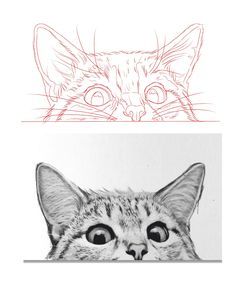 Wildlife Drawings, Cat Drawing Tutorial, Cats Art Drawing, Pen Art Drawings, Cat Hacks, Cat Sketch, Tattoo Stencil Outline, Seni Origami, Desenho Tattoo