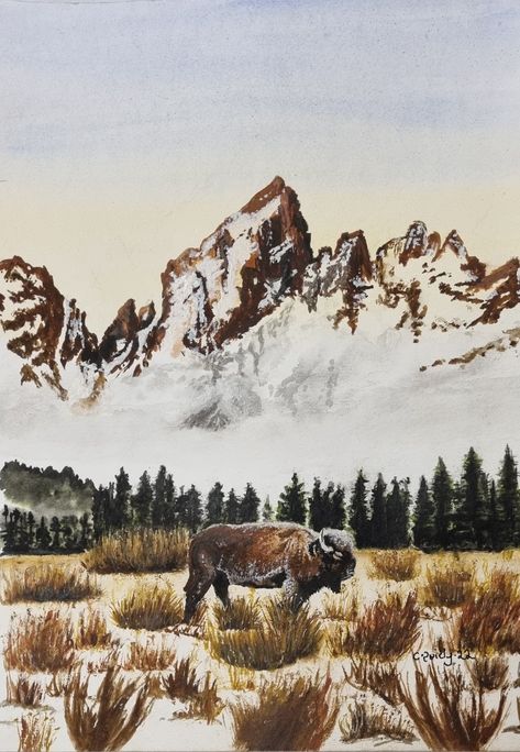 Western Acrylic Painting Ideas, Watercolor Western Art, Yellowstone Drawing, Tundra Drawing, Yellowstone Watercolor, Wyoming Painting, Western Watercolor Paintings, Montana Watercolor, Bison Drawing