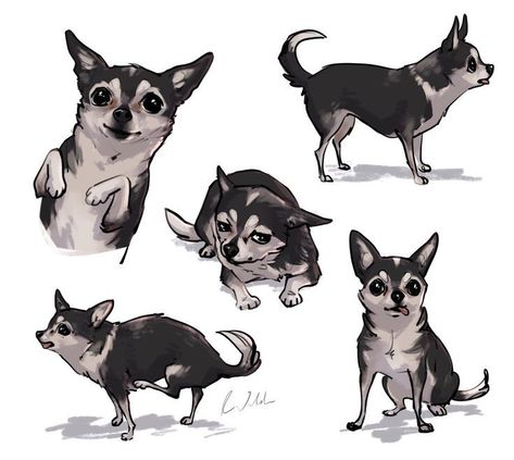 Jenna Julien, Chihuahua Drawing, Jenna And Julien, Dog Design Art, Jenna Marbles, Chihuahua Art, Animal Study, Procreate Ipad, My Drawings