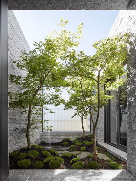 Get the Look: Raw Aesthetic Japanese Courtyard, Natural Stone Bathroom, Indoor Courtyard, Courtyard Landscaping, Courtyard Design, Internal Courtyard, Patio Interior, Interior Garden, Courtyard Garden