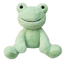 Sage Green Stuffed Animal, Stuffed Animal Packaging, Stuff Animals Cute, Plushies White Background, Weird Things To Buy, Cute Stuffed Animals Aesthetic, Green Birthday Gifts, Plushies Frog, Frog Stuffie