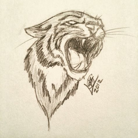 Wildcat Tattoo Ideas, Tiger Drawing Aesthetic, Drawing Ideas Tiger, Tiger Drawings Easy, Bob Cat Drawing, Tiger Sketch Easy, Wild Animals Drawing Sketch, Tiger Drawing Reference, Wild Cat Drawing