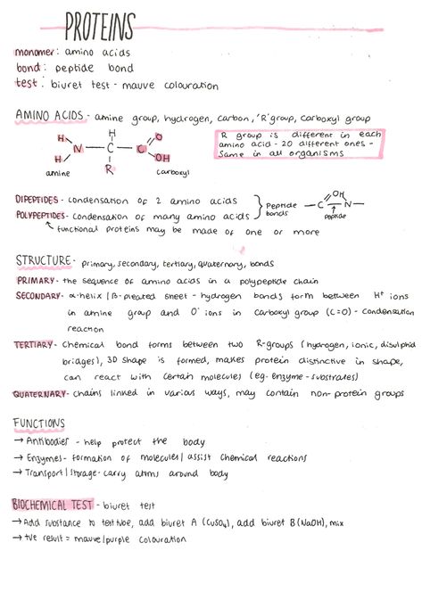 Protein Notes Biochemistry, Ap Bio Unit 1, Macromolecules Biology Notes, Biomolecules Notes Biology, Medicine Notes Study, Protein Biology, Biochemistry Notes, Things To Write, Biology Revision