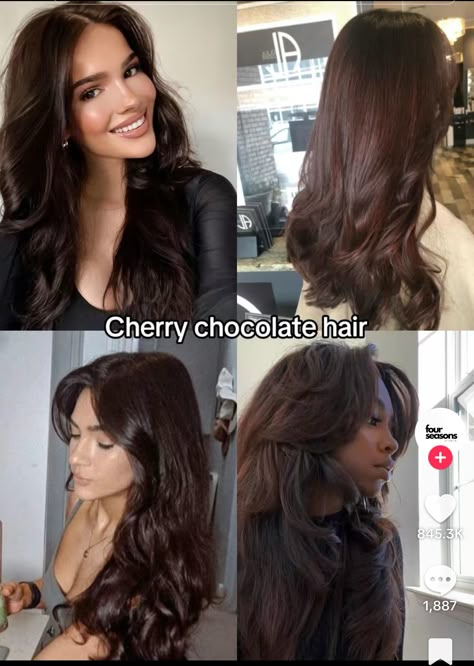 Cherry Chocolate Hair, Bold Balayage, Summer Hair Color Ideas, Cherry Chocolate, Chocolate Hair, Caramel Highlights, Types Of Hair, Hair Color Ideas For Brunettes, Honey Brown