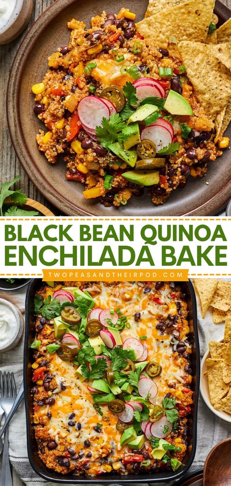 Out of easy comfort food ideas? Try this Black Bean Quinoa Enchilada Bake! This hearty vegetarian enchilada casserole is always a family favorite. Pin this delicious comfort food dinner recipe! Black Bean Quinoa Enchilada Bake, Quick Healthy Plant Based Meals, Vegan Black Bean Enchiladas, Black Bean And Quinoa Recipes, Meal Prep Vegetarian Dinner, Quick Dinner Ideas Meatless, Beans And Quinoa Recipes, Simple Plant Based Dinner, Dinner Sides Easy Healthy