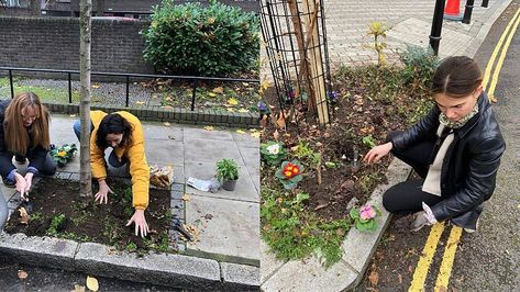 Why guerrilla gardening is solarpunk AF Solarpunk Garden, Gorilla Gardening, Solarpunk Aesthetic, Guerilla Gardening, Solar Punk, Guerrilla Gardening, Environmentally Friendly Living, Community Garden, Public Place