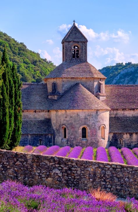 Summer in Provence is bursting with colour and fragrance. The vibrant lavender fields are a dream and have become an iconic symbol of this region. Near the village of Gordes, you can find a spectacular scenery at the Abbey of Sénanque, a gem of Romanesque architecture. Whether you are a photographer or not, in front of this historical abbey lies probably one of the most beautiful bright purple lavender fields, that will definitely fascinate you. Southern Travel, World Most Beautiful Place, Sainte Marie, The French Riviera, Southern Europe, Garden Painting, Provence France, Landscape Pictures, Travel Packages