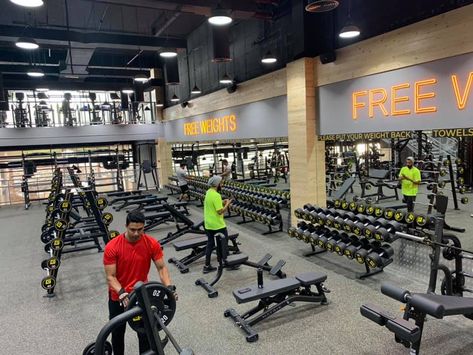 First Time Gym, Dream Gym, Gym Facilities, Free Classes, Best Health, Fitness Gym, In Dubai, Fun Workouts, Gym Workouts