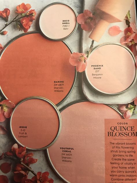 Light Terracotta Accent Wall, Boho Tan Paint Colors, Peach And Tan Bedroom, Desert Pink Bathroom, Terra Cotta Guest Room, Boho Cream Paint Colors, Peach Boho Living Room, Clay Pink Color Palette, Terra Cotta Pink Color Palettes