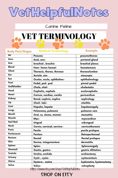 Vet Tech Assistant, Vet Tech Abbreviations, Veterinary Medical Terminology, Vet Tech Scrubs For Women, Vet Tech Knowledge, Vet School Acceptance Announcement, Vet Tech Learning, Vet Tech Interview Outfit, Vet Tech Study Guide