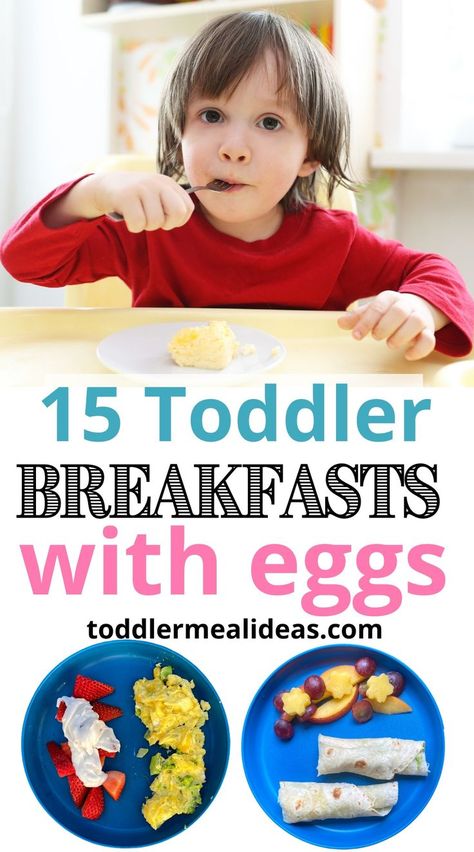 Does your toddler love eggs? Or maybe you just want to work on exposing them?  I’m sharing how I got my toddler to eat eggs by serving them different ways for breakfast. A list of 15 simple and easy toddler breakfasts with eggs. #toddler #toddlerfood #toddlermealideas #toddlerbreakfast Easy Toddler Lunches, Ways To Make Eggs, Toddler Meal Ideas, Eggs Dinner, Easy Toddler Meals, Toddler Dinner, Toddler Breakfast, Baby Feeding Schedule, Toddler Lunches