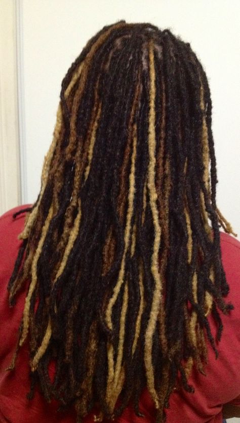 Black Locs With Brown Highlights, Dreads With Highlights, Dread Highlights, Highlights In Locs, Dreadlock Highlights, Highlighted Locs, Highlight Locs, Locs With Blonde Highlights, Highlights Locs