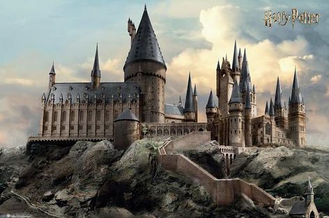 Which Harry Potter Character Resembles You? Hogwarts Poster, Posters Harry Potter, Harry Potter Prints, Poster Harry Potter, Harry Potter Hogwarts Castle, Harry Potter Poster, Images Harry Potter, Hogwarts Castle, Gold Poster