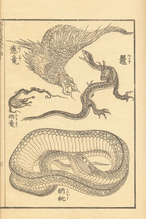 Ancient Drawings, Chinese Book, Vintage Illustration Art, Japanese Drawings, Japanese Art Prints, Snake Art, Japanese Folklore, Japanese Artwork, Eco Friendly Home