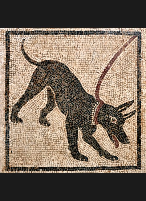 mosaici | mann napoli Opus Vermiculatum, Dog Mosaic, Beware Of The Dog, Mount Vesuvius, Beware Of Dog, Mosaic House, Marble Inlay, Roman History, Exhibition Display