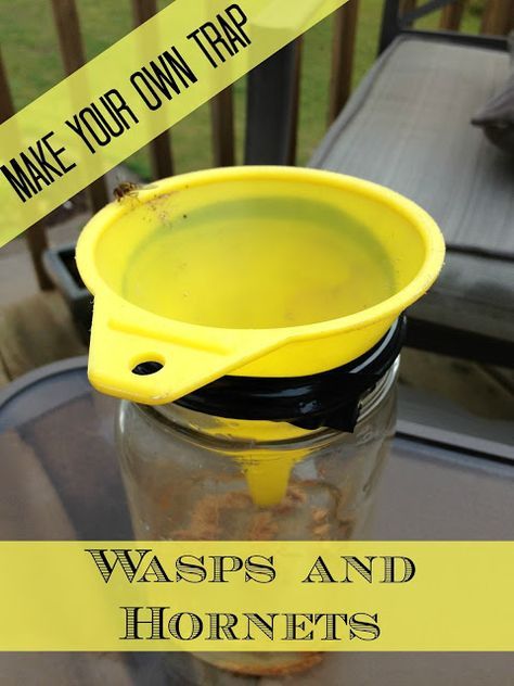 The Serene Swede: DIY Hornet and Wasp trap Wasp Trap Bait, Wasp Trap Diy, Homemade Wasp Trap, Hornet Trap, Wasp Repellent, Get Rid Of Wasps, Wasp Trap, Wasp Traps, Bee Traps