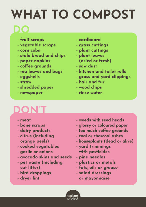 compost dos and don'ts - The Plant Project Compost Area Design, Indoor Compost Bin, What To Compost, Small Compost Bin Diy, Compost Container Kitchen, Diy Compost Bin, What Can You Compost, What Is Composting, What Can Be Composted