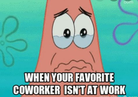 Coworker Best Friend Quotes, Missing Old Coworkers Quotes, Coworker Memes Friends, Missing Your Work Bestie Meme, Fake Coworkers, Work Bestie Leaving, Co Worker Memes, Work Related Quotes, Coworker Quotes