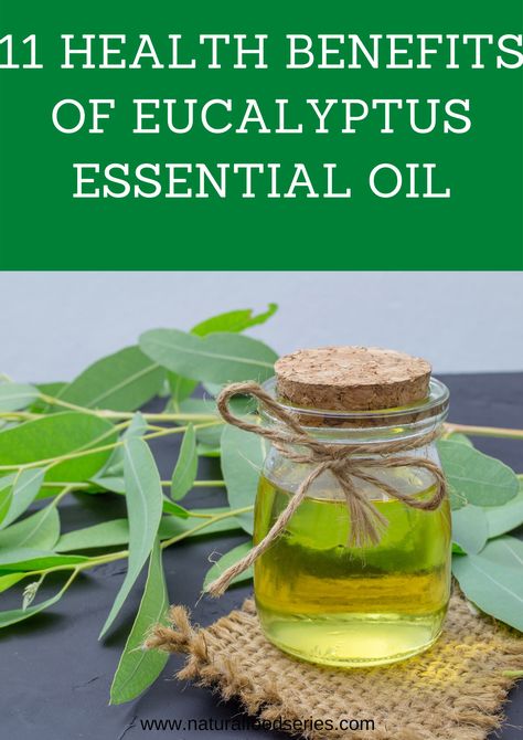 Eucalyptus essential oil can do so much more for the body. Here are some benefits of eucalyptus essential oil. Eucalyptus Benefits Essential Oils, Benefits Of Eucalyptus Oil, Benefits Of Eucalyptus Essential Oil, Eucalyptus Benefits, Eucalyptus Oil Benefits, Benefits Of Eucalyptus, Healing Foods, Organic Foods, Herbal Healing