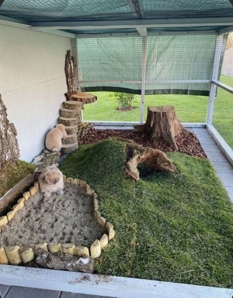 Rabbit Cage Setup, Bunny Sheds, Rabbit Habitat, Pet Bunny Rabbits, Pet Enclosure, Backyard Landscaping Plans, Aesthetic Garden, Rabbit Cage, Bunny House